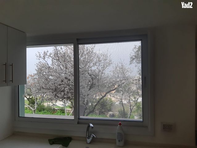 האורן 189