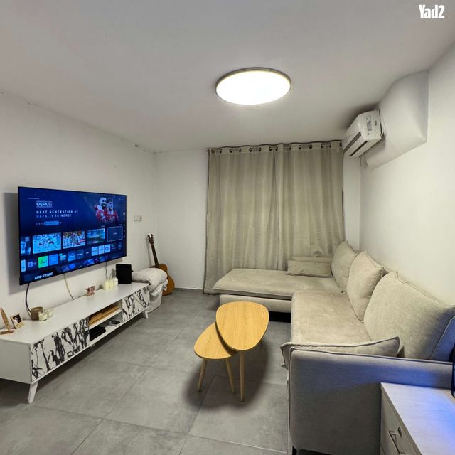 ארז 6