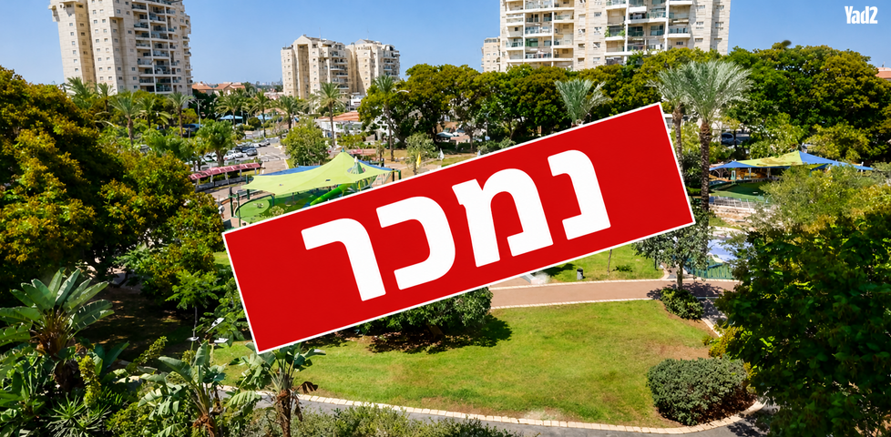 דקל 