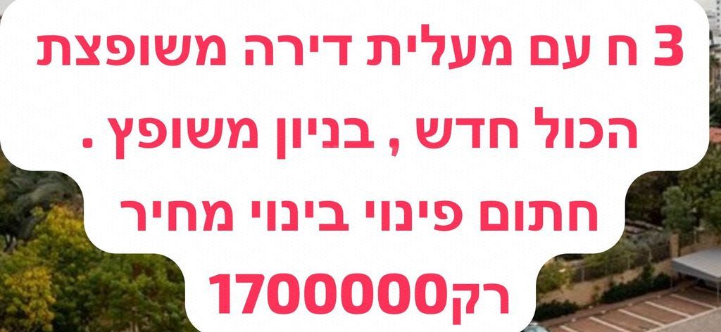 אברמוביץ'