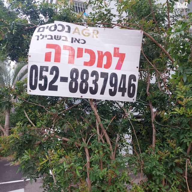 תל ברוך
