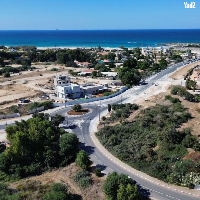 הצבעוני 