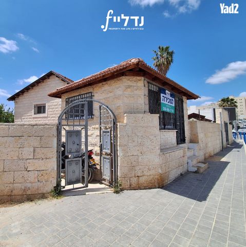 בן צבי 11
