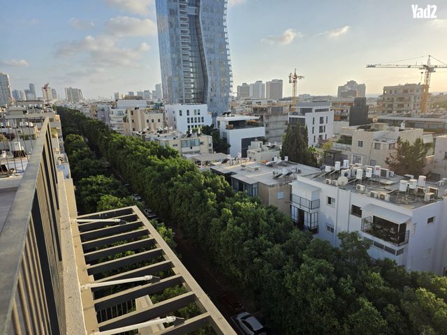 דיזנגוף 