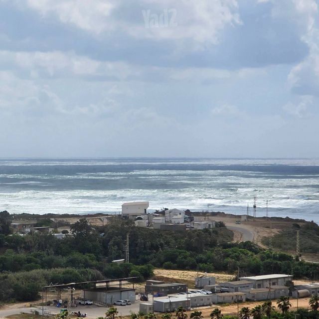 זלמן שז"ר 