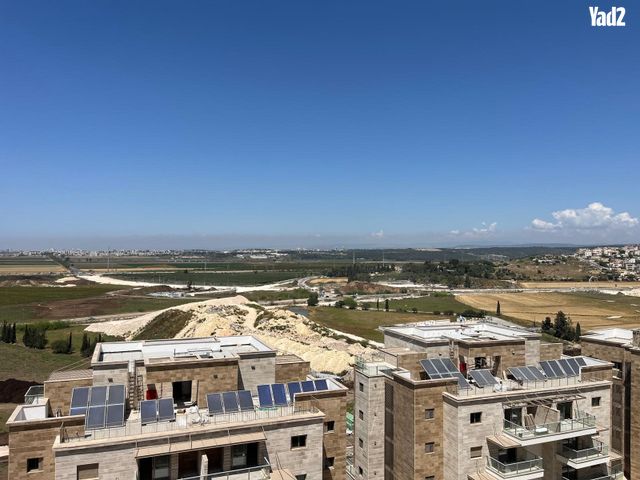 הנרקיסים 