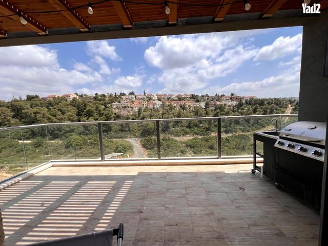 הברוש 92