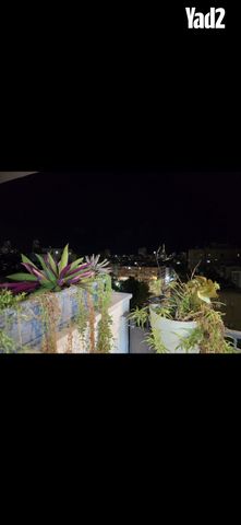 אנילביץ' 11