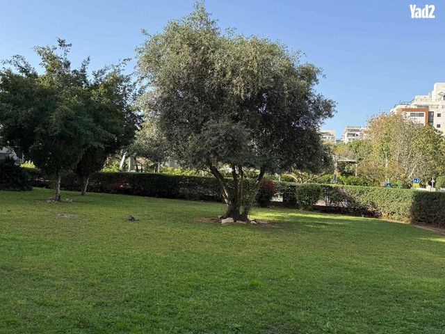 הגדוד העברי 5