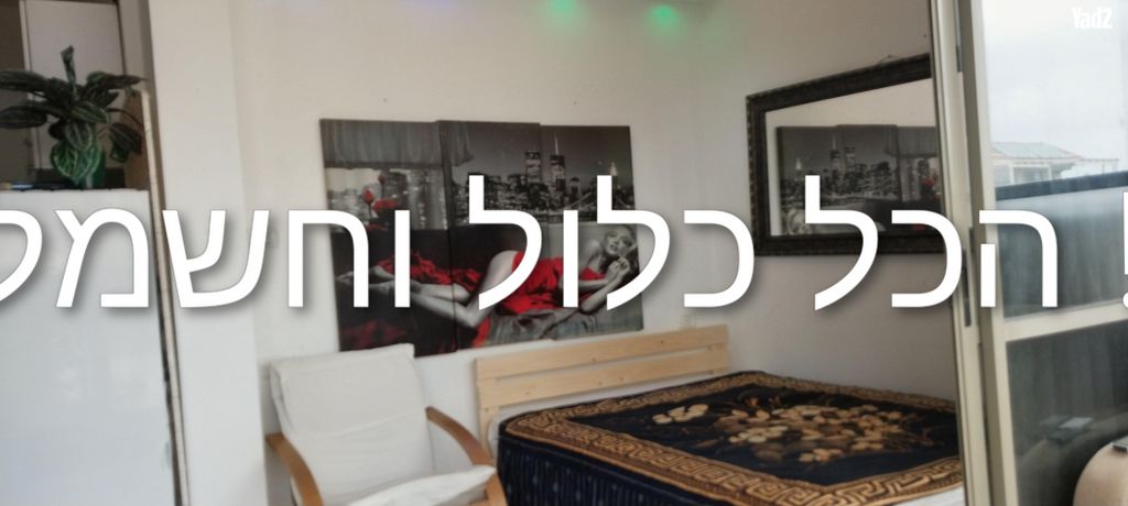 דרור 6