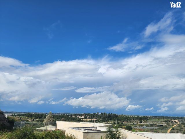 גפן 16