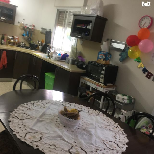 החרצית 27