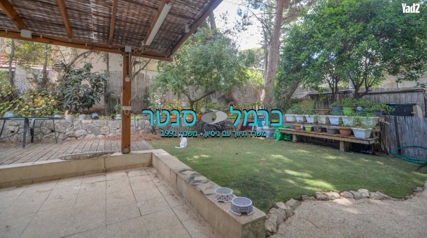 זיו