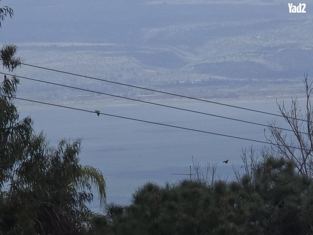 שז"ר 