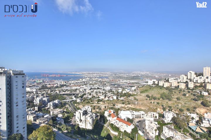 חנה סנש 