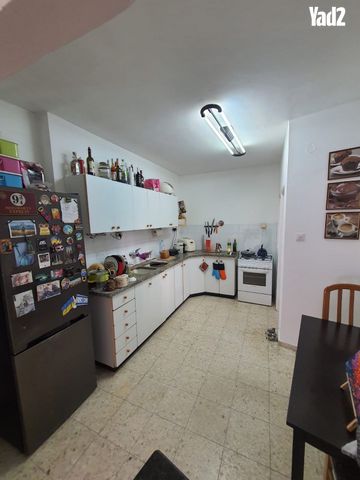 אריה 