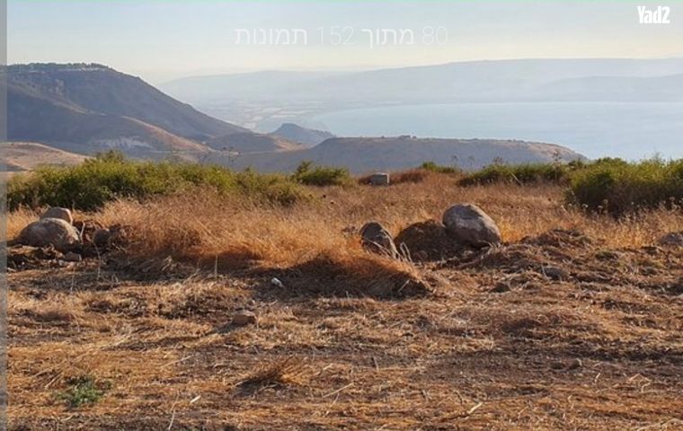 משק חקלאי/ נחלה
