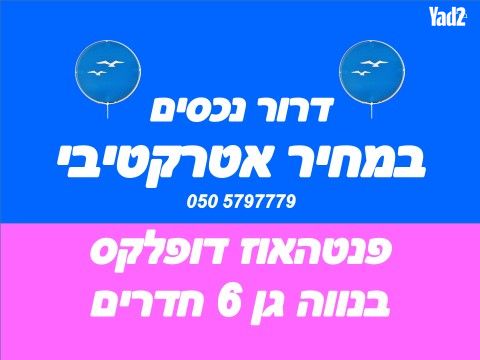 תרזה קוגלמן 3