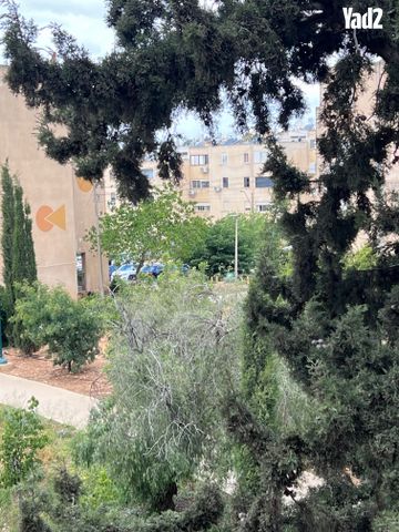 יזרעאל 28