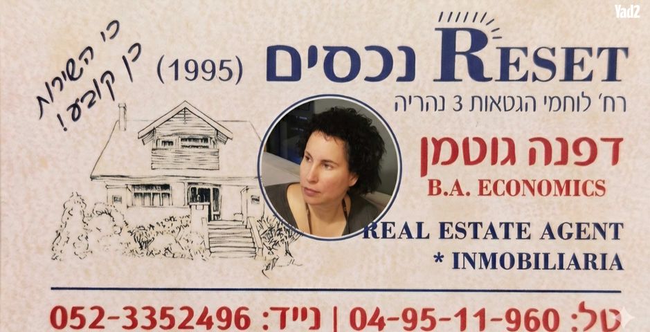 דוד רמז 