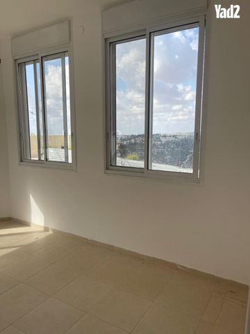 הכלנית 43