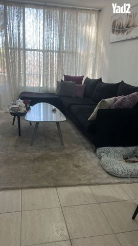 הרב ריינס 13
