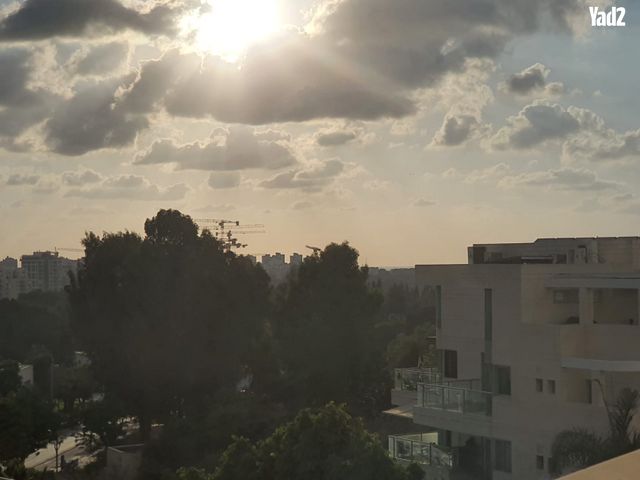 אלכסנדר סשה ארגוב 13