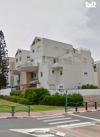 אירוס הארגמן 