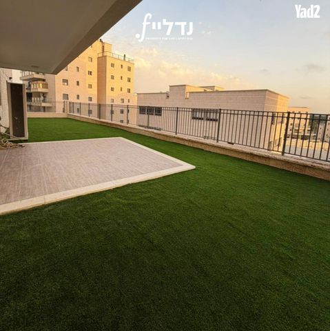 רבי חנינא 19
