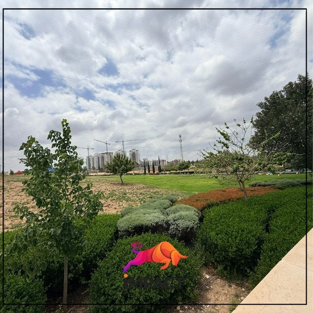 כרמי גת
