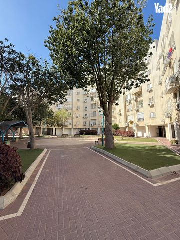 אריה רובין 11