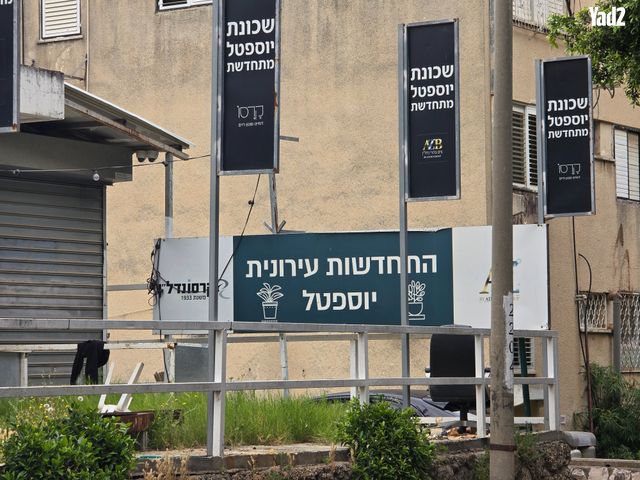 שלמה המלך 