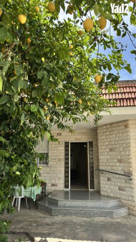 הנדיב 