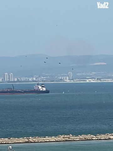 תאופיק טובי 