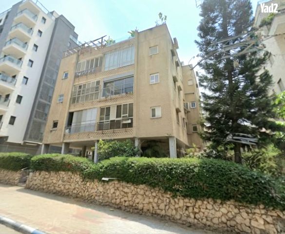 חורגין 46