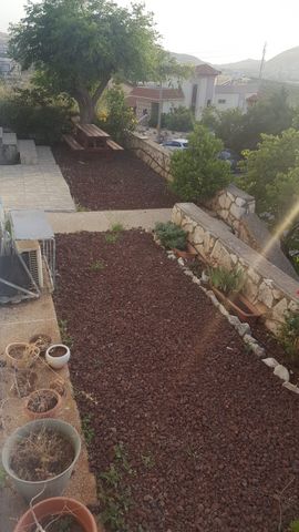 הדס 1