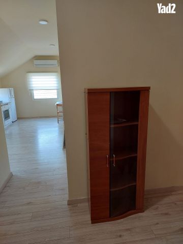 ישראל ופאני 14