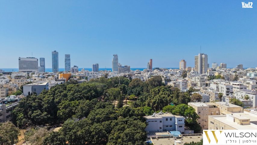 בורוכוב 