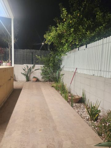 הברוש 