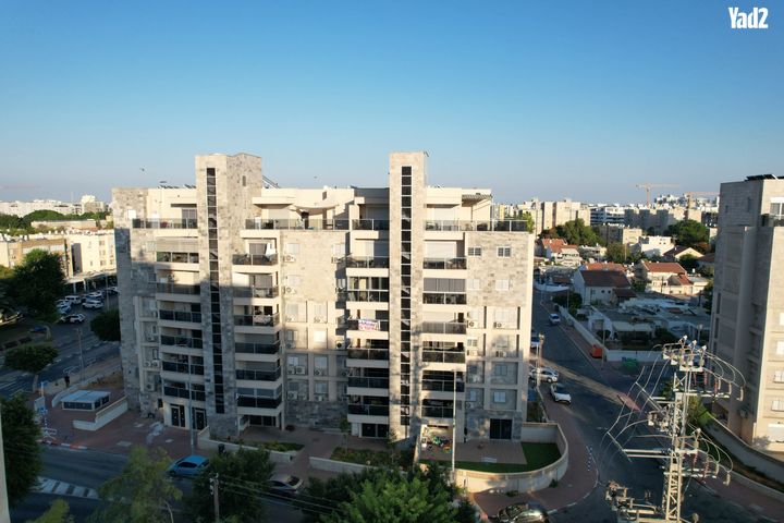 דב גור 10