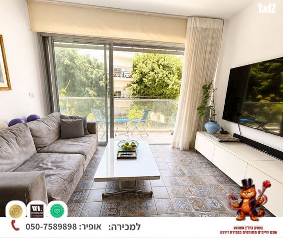 זלמן שניאור 