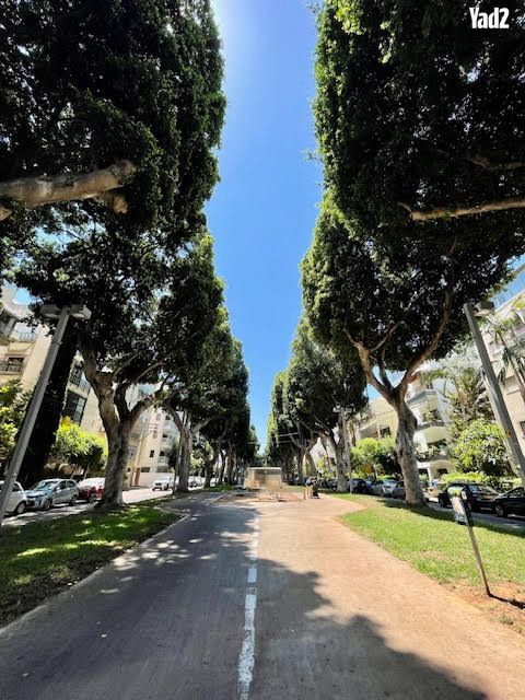 הצפון הישן - דרום