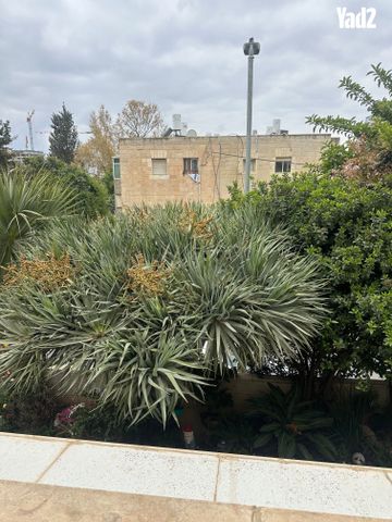 ארנונה