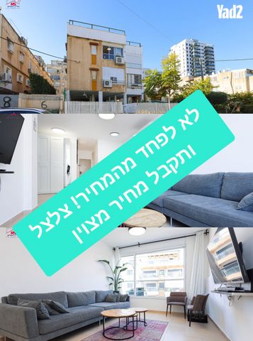 דב גרונר 6