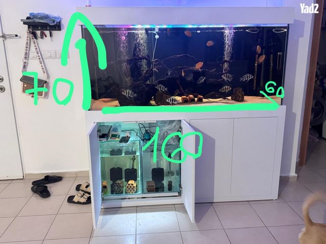 תמונת מודעה - חיות מחמד