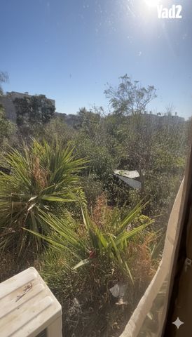 מבוא גולי קניה 4