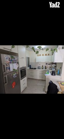 אתרוג 19