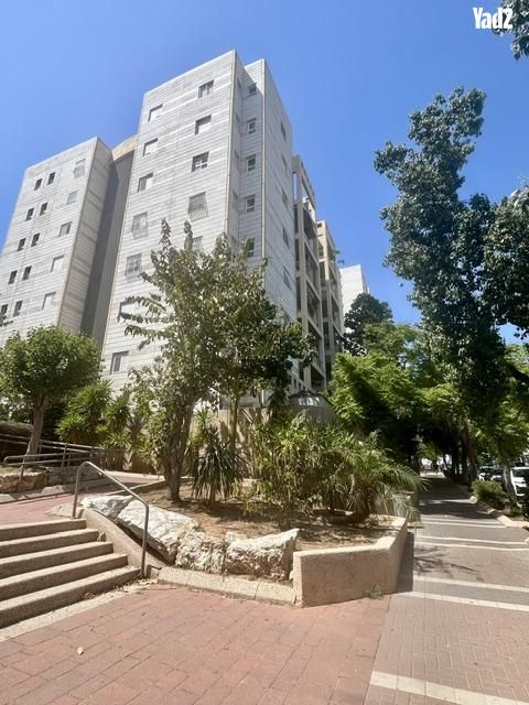 הר הצופים 31