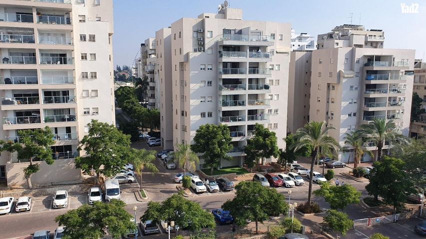 מירון אברמסון 7