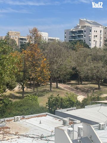 דב גרונר 1